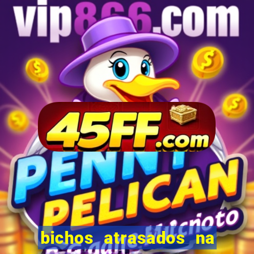 bichos atrasados na loteria federal